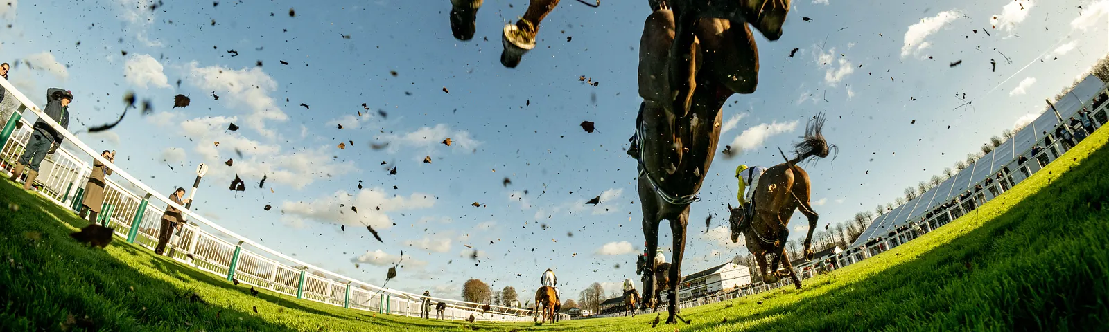 New Years Day Jumps Racing Bank Holiday