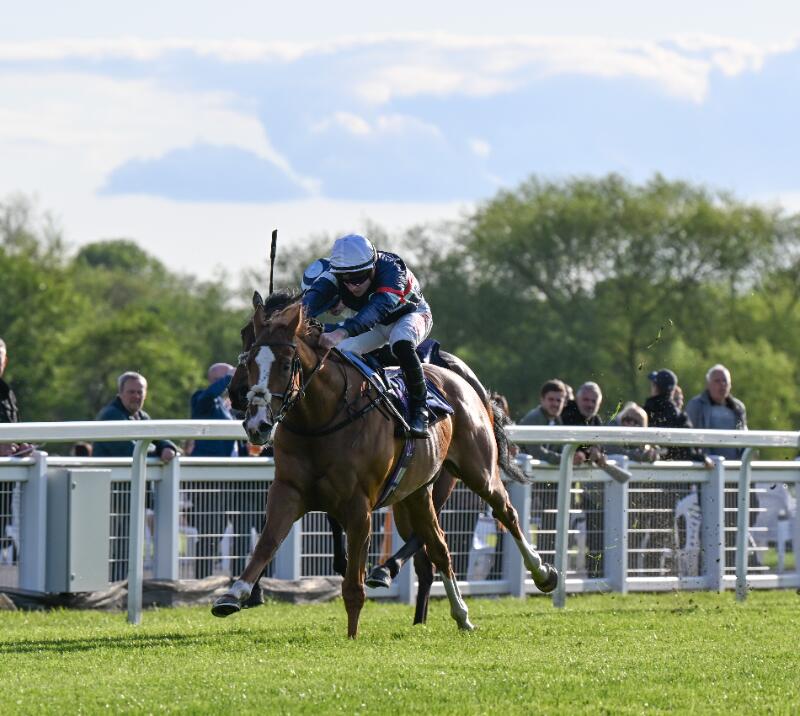 BHA Developmental Races - Snuggle 