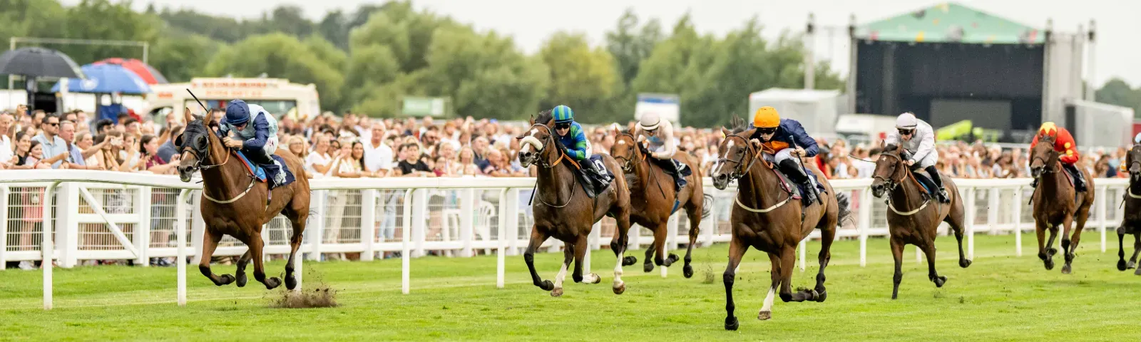 A full track of horses race down the track at Windsor