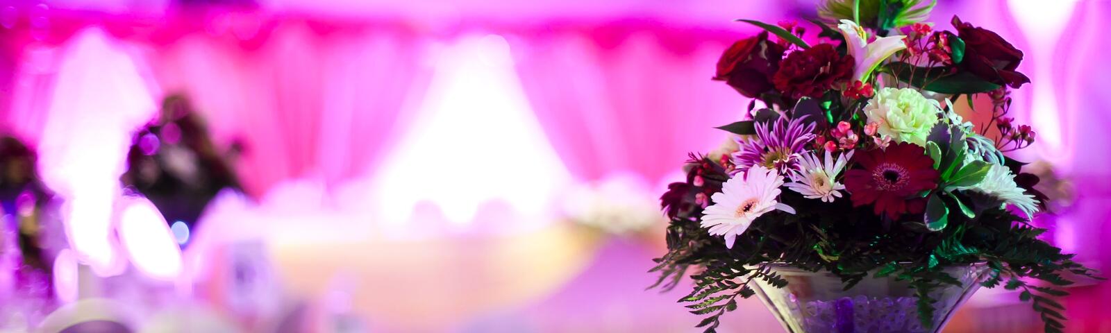 Wedding & Celebrations Open Day