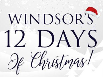 12 days of Christmas promo