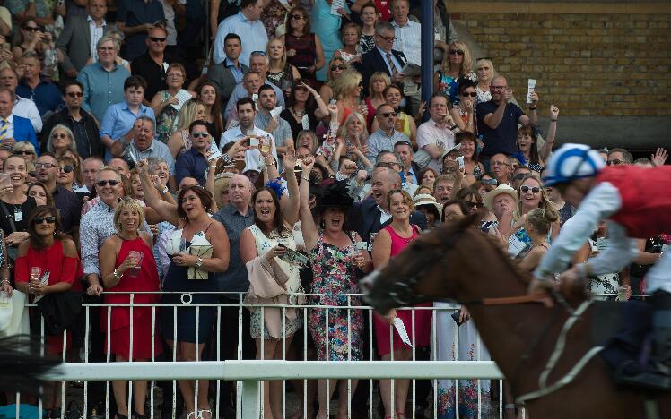 Free Racenight - Top Tips for a great evening out at the races!