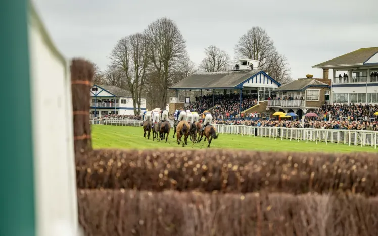Jumps Racing Figure of Eight Windsor Racecourse
