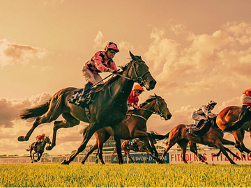 winter hill stakes