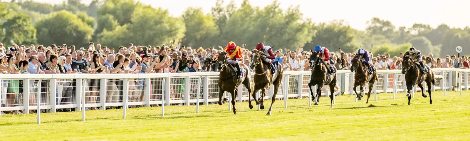 Horses race down the final stretch at Windsor, past the crowds lining the track