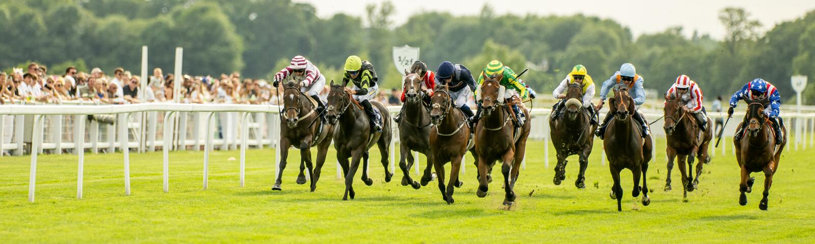 Party in the Paddock