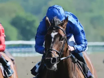 Military Order Windsor 