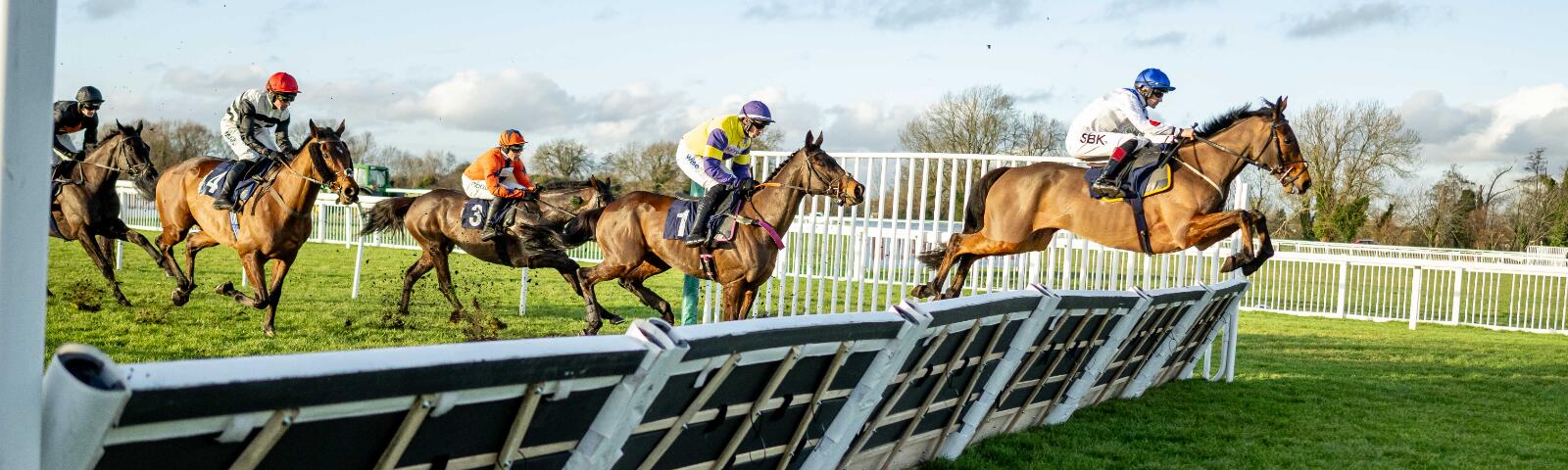 jumps racing at windsor