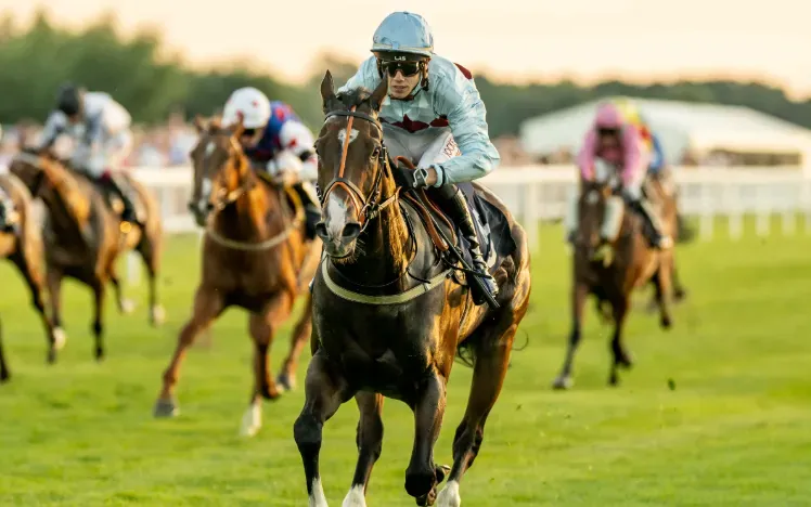 lequinto three wins at windsor racecourse monday night racing