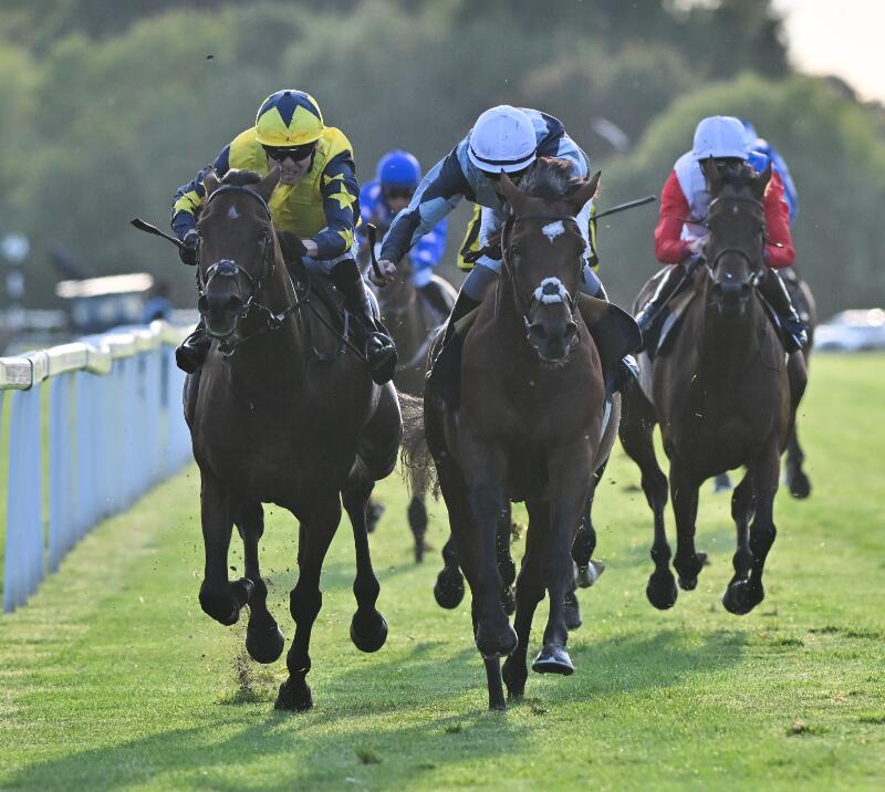 Passenger wins the Group 3 Winter Hill Stakes 