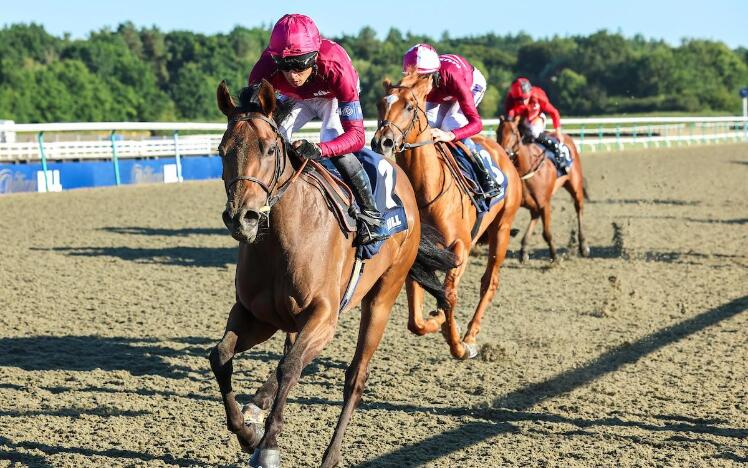 Immortal Beauty leads home a one-two for London & The South (credit: Grossick Racing Photography