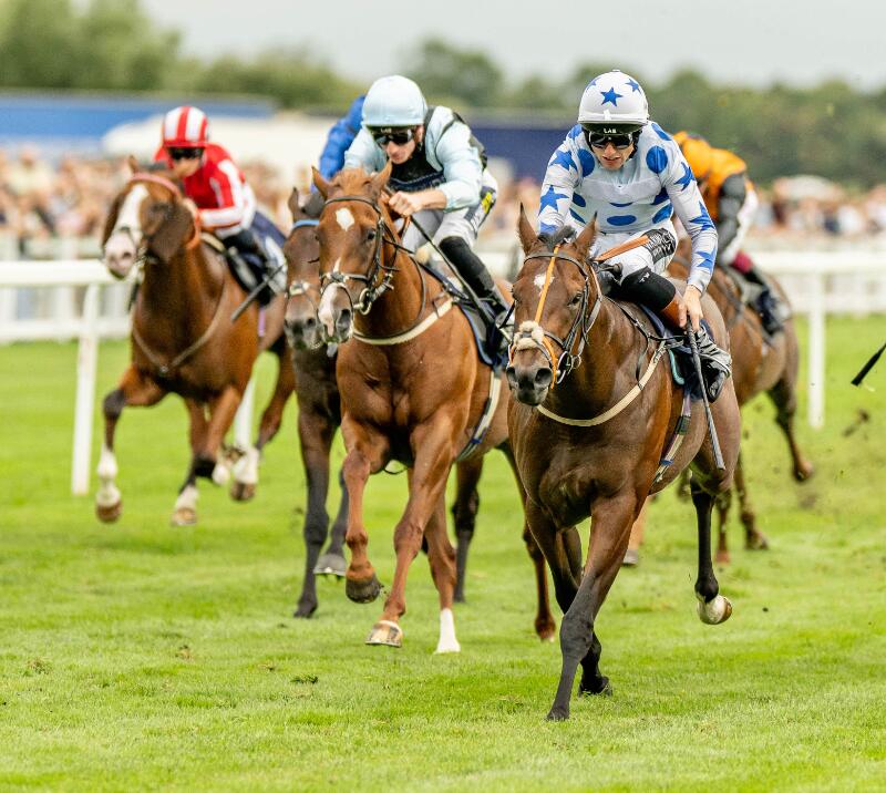 Jockeys focus on the track ahead during a race at Windsor