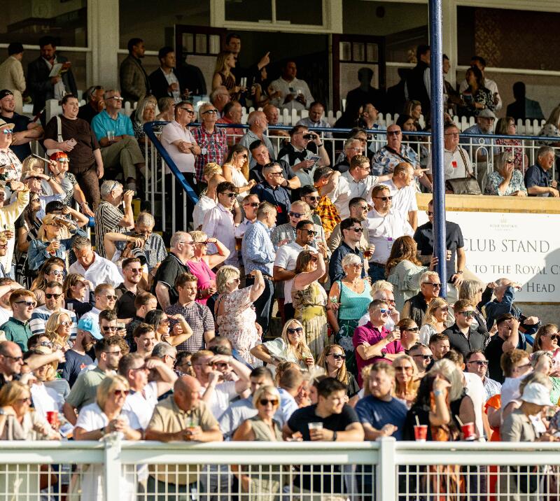 The crowd in the grandstand at Windsor looking out in the sunshine