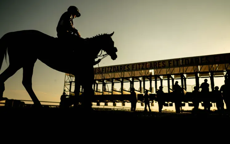 The silhouette of a horse heading to the starting stalls at sunset