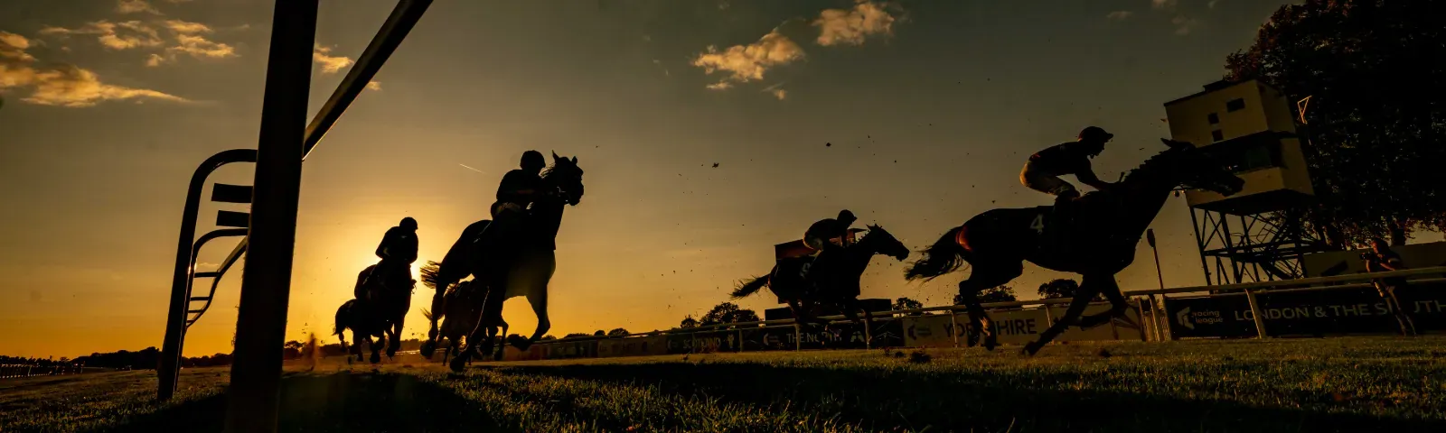 Silhouettes of race horses at sunset on the track at Windsor Races