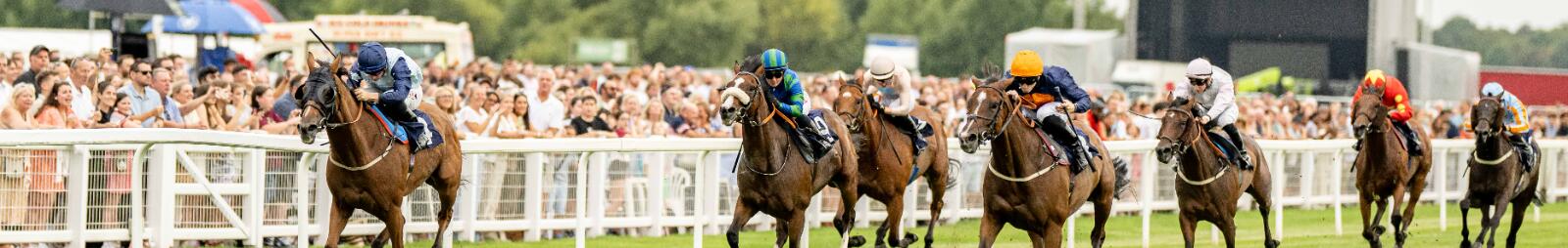 A full track of horses race down the track at Windsor
