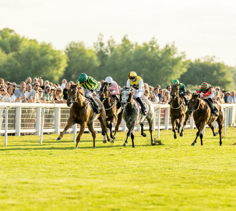 windsor racing crowd
