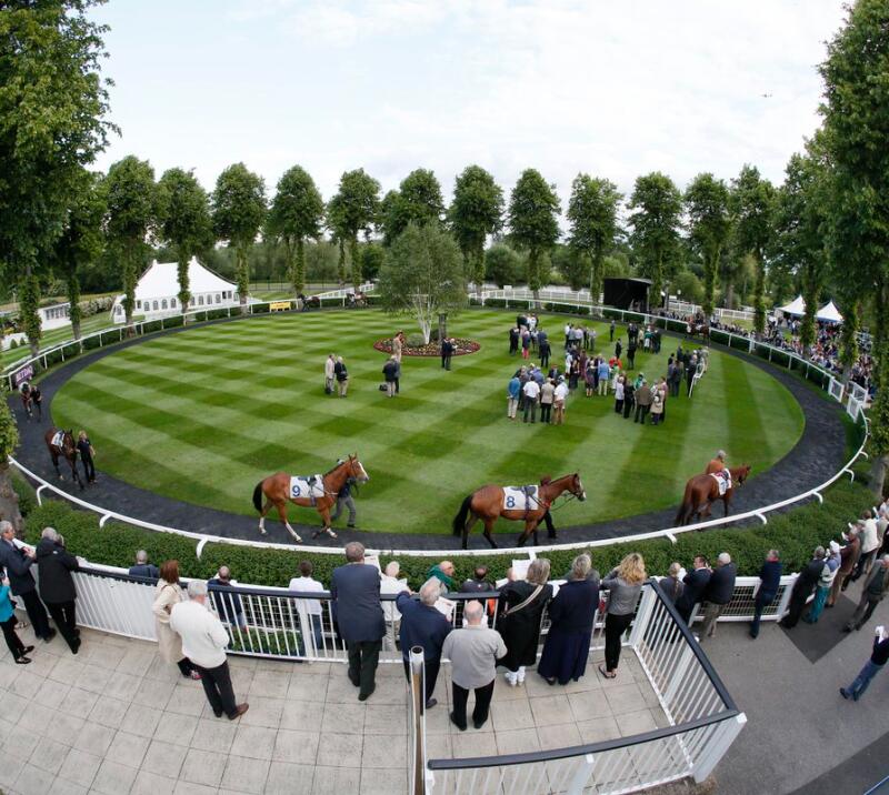Jump Racing Returns Royal Windsor Racecourse