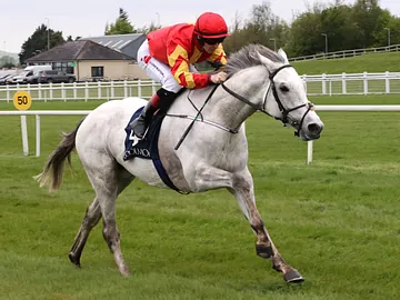White Birch racehorse running on flat turf