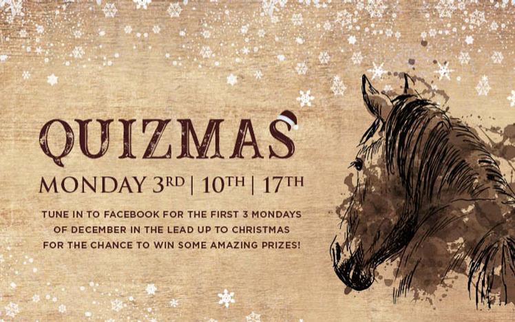 Quizmas poster