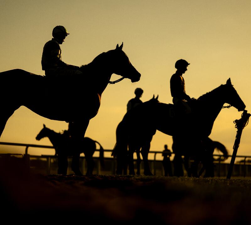 saturday nights horse racing