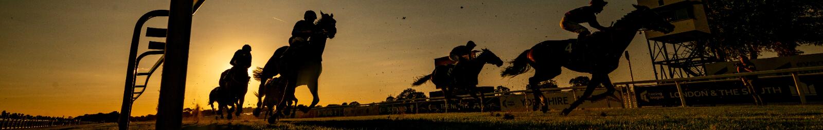 Silhouettes of race horses at sunset on the track at Windsor Races