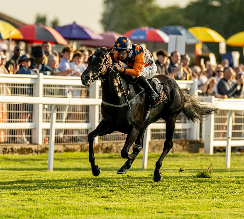 A horse races past the crowds and betting stands at Windsor Races