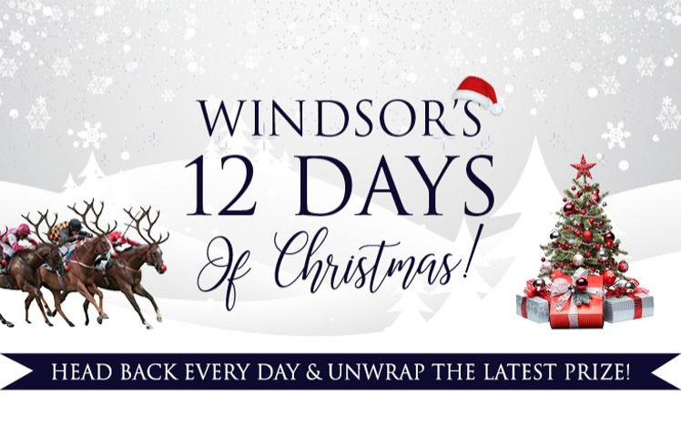 12 days of Christmas promo