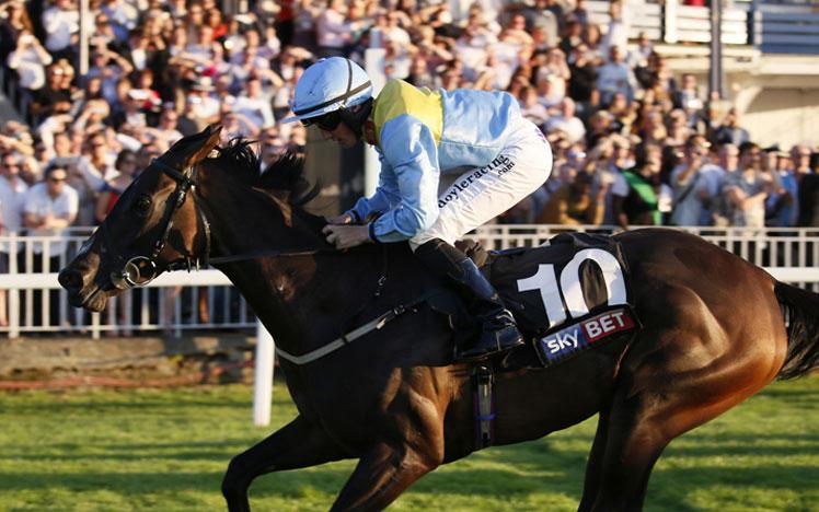 A horse and jockey running at Royal Windsor