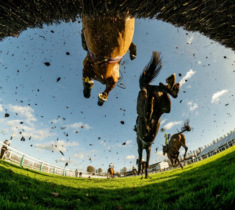 jumps racing windsor