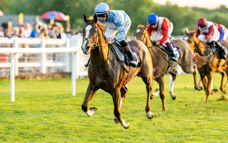 Horses thundering down the track at Windsor Races